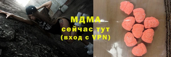 индика Дмитровск