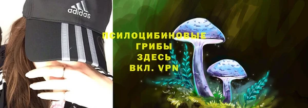 первитин Гусиноозёрск