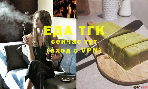 индика Дмитровск