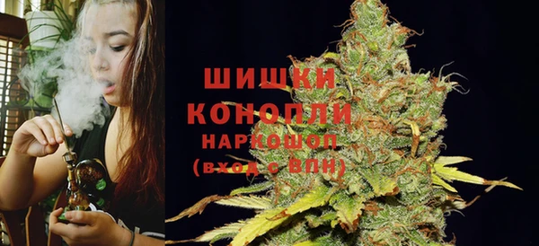СК Гусь-Хрустальный