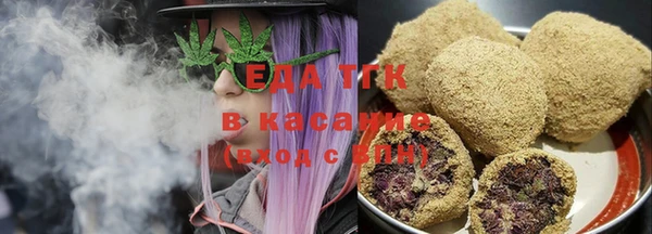 индика Дмитровск