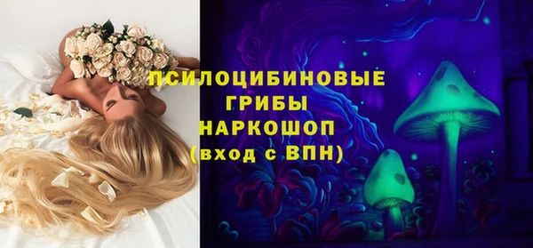 СК Гусь-Хрустальный
