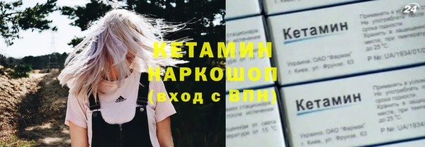 индика Дмитровск
