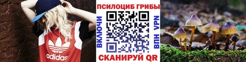 Галлюциногенные грибы Cubensis  цены   Железноводск 